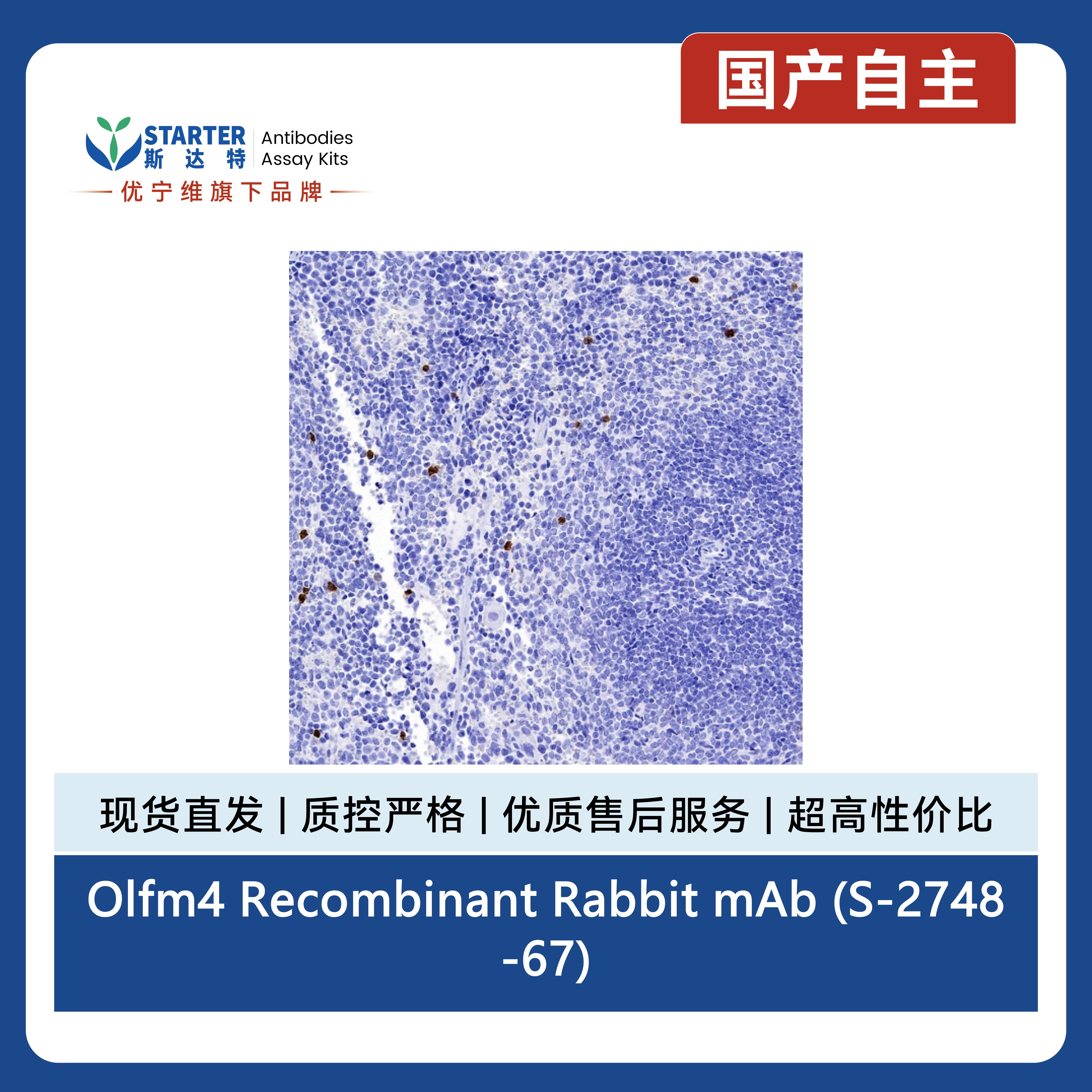 产品细节图片5