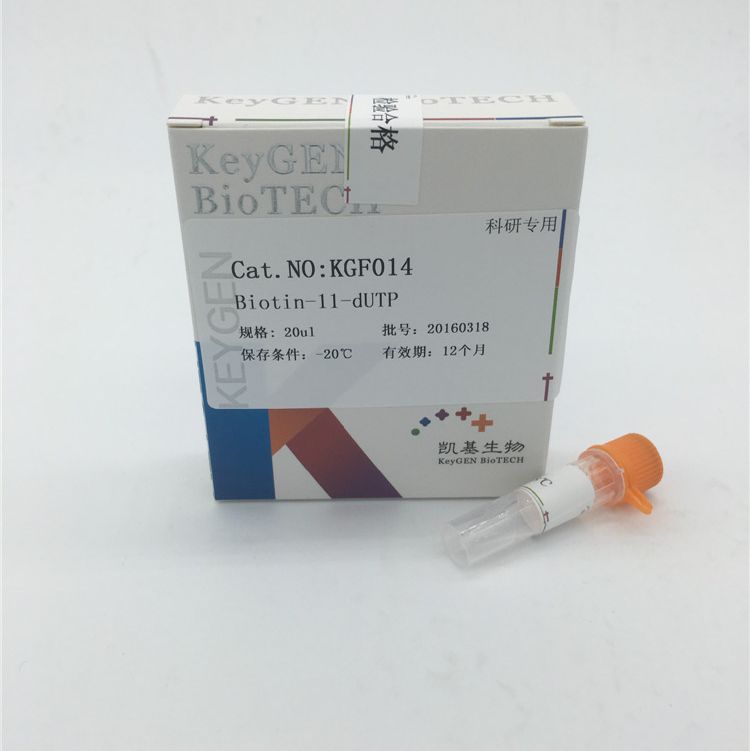 KGF014 Biotin‑11‑dUTP 生物素‑11‑dUTP(凯基 KeyGen)产品图
