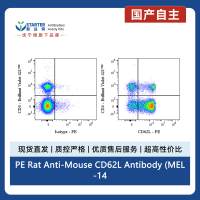 PE Rat Anti-Mouse CD62L Antibody (MEL-14)