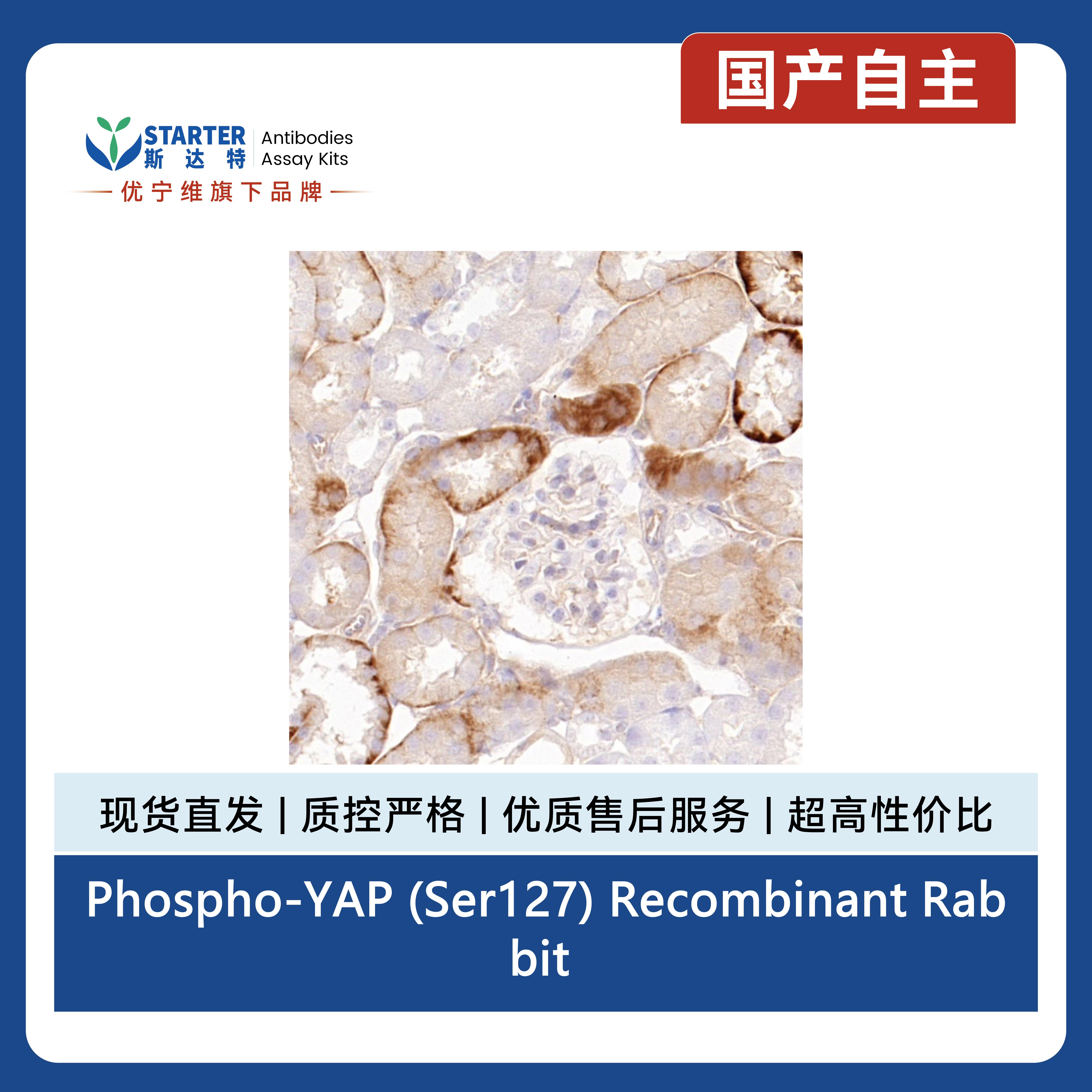 产品细节图片7