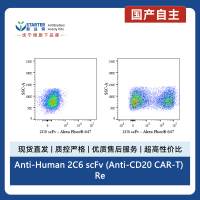 Anti-Human 2C6 scFv (Anti-CD20 CAR-T) Recombinant Rabbit mAb (Alexa Fluor® 647 Conjugate) (S-5413)
