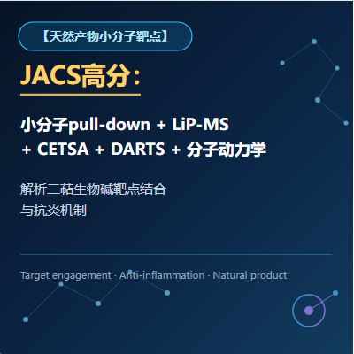 【天然产物小分子靶点】JACS高分：小分子pull-down+LiP-MS+CETSA+DARTS+分子动力学，解析二萜生物碱靶点结合与抗炎机制