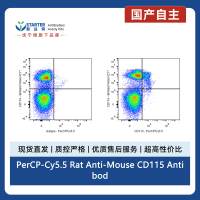 PerCP-Cy5.5 Rat Anti-Mouse CD115 Antibody (AFS98)
