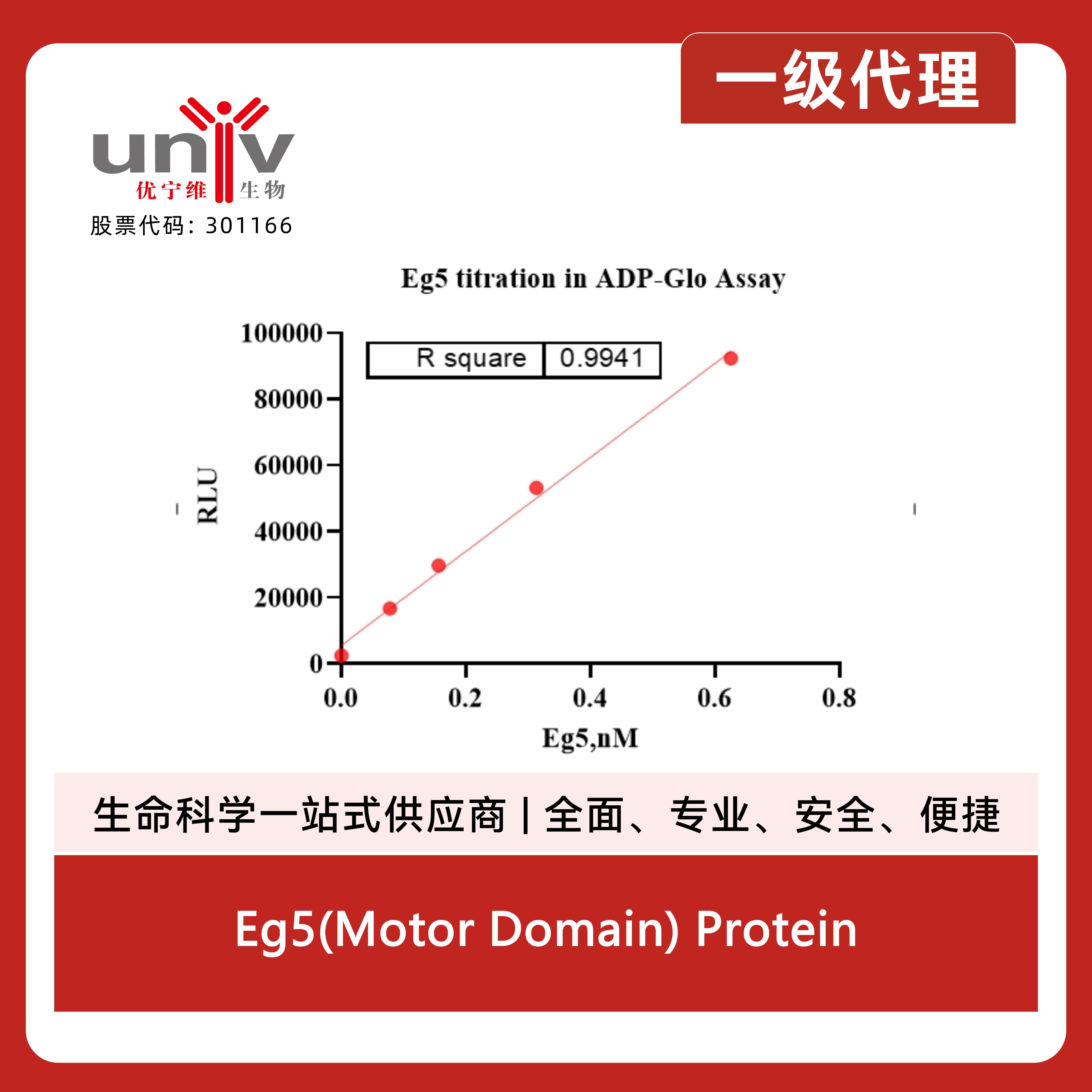 Eg5(Motor Domain) Protein产品图