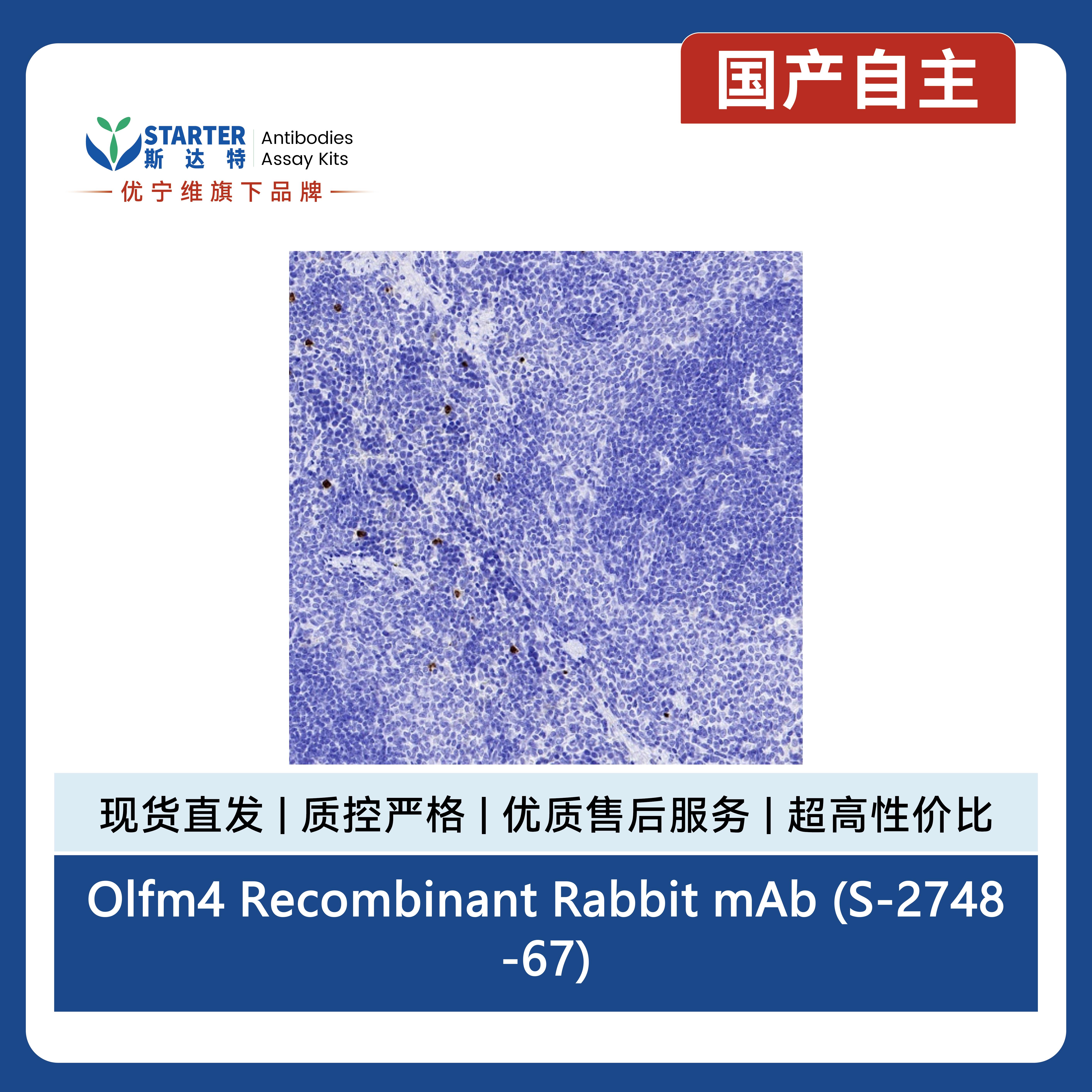 产品细节图片8