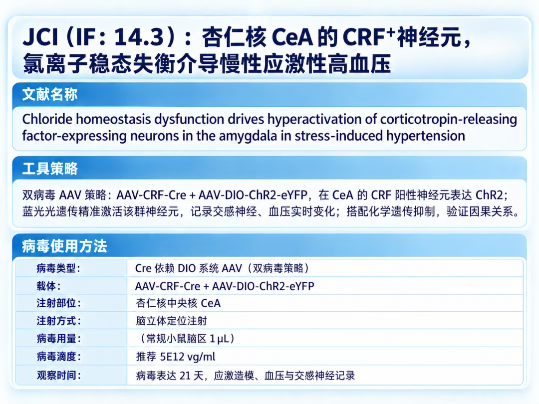 案例3文献与病毒使用方案