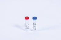 T7 RNA Polymerase (50,000 U)