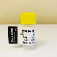 10KU 糖链抗原199；CA199抗原；癌抗原199；糖抗原199