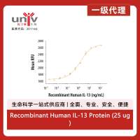 Recombinant Human IL-13 Protein (25 ug)