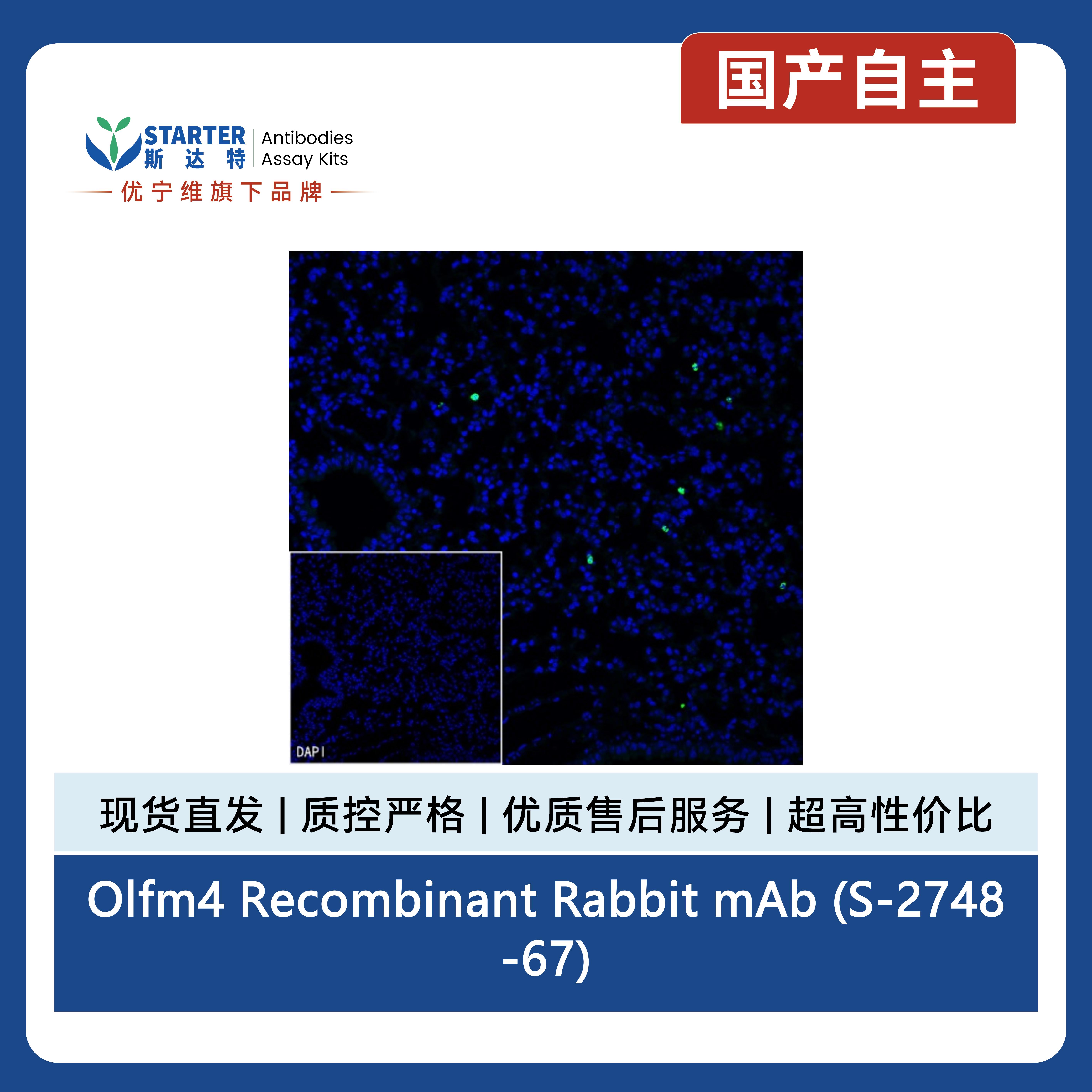 产品细节图片12