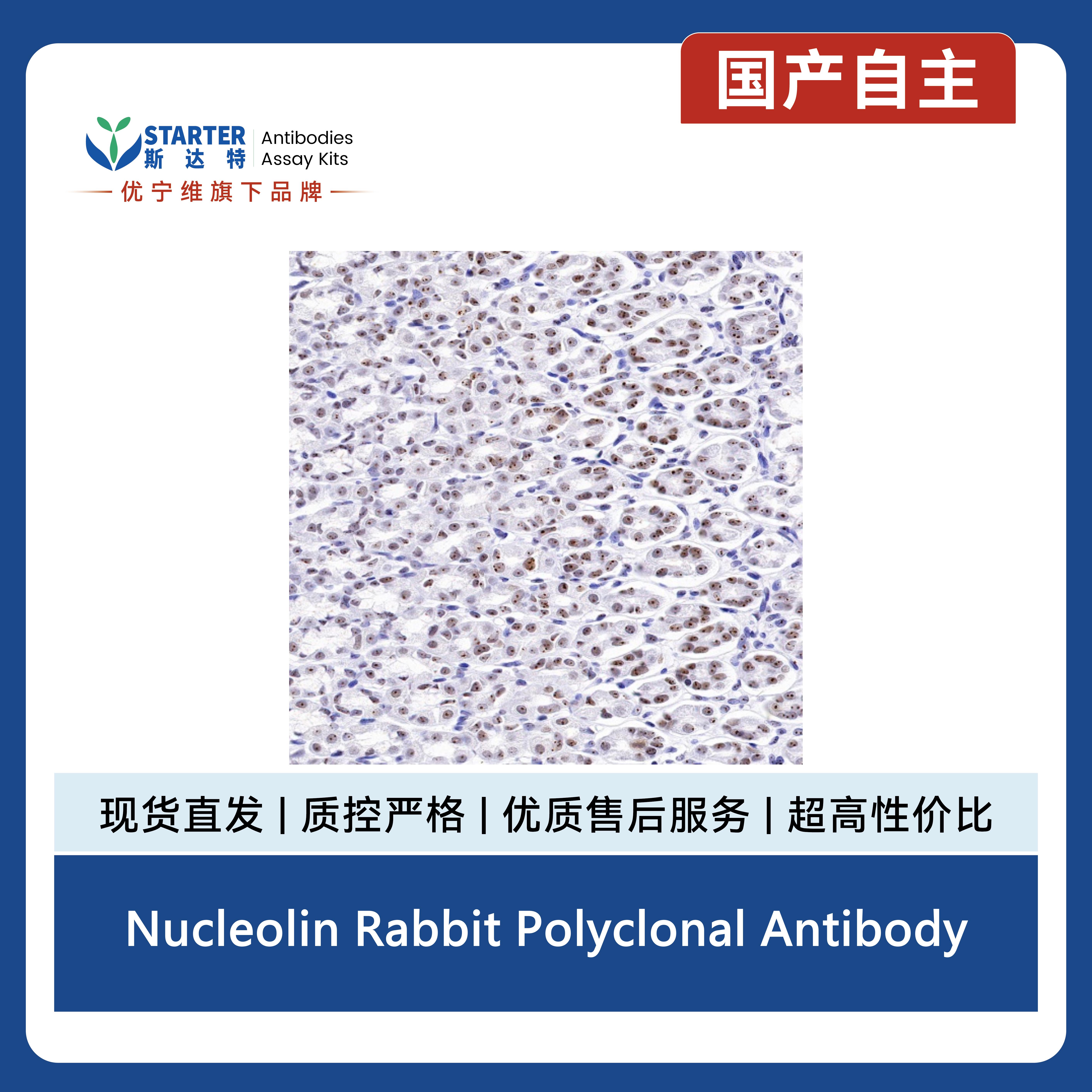 产品细节图片12