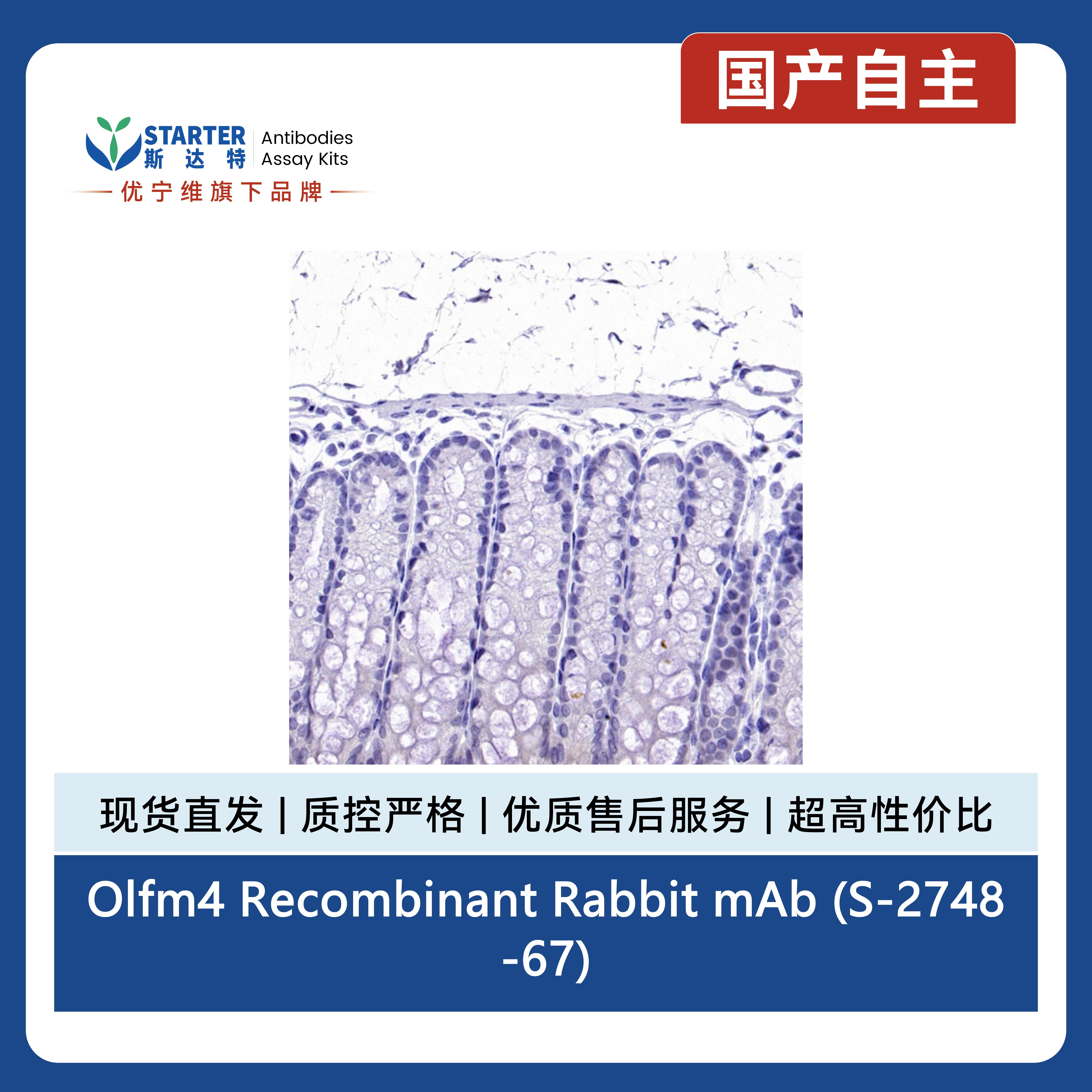产品细节图片6