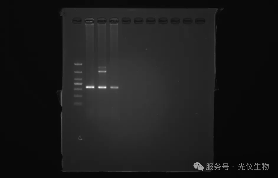 新闻图片3