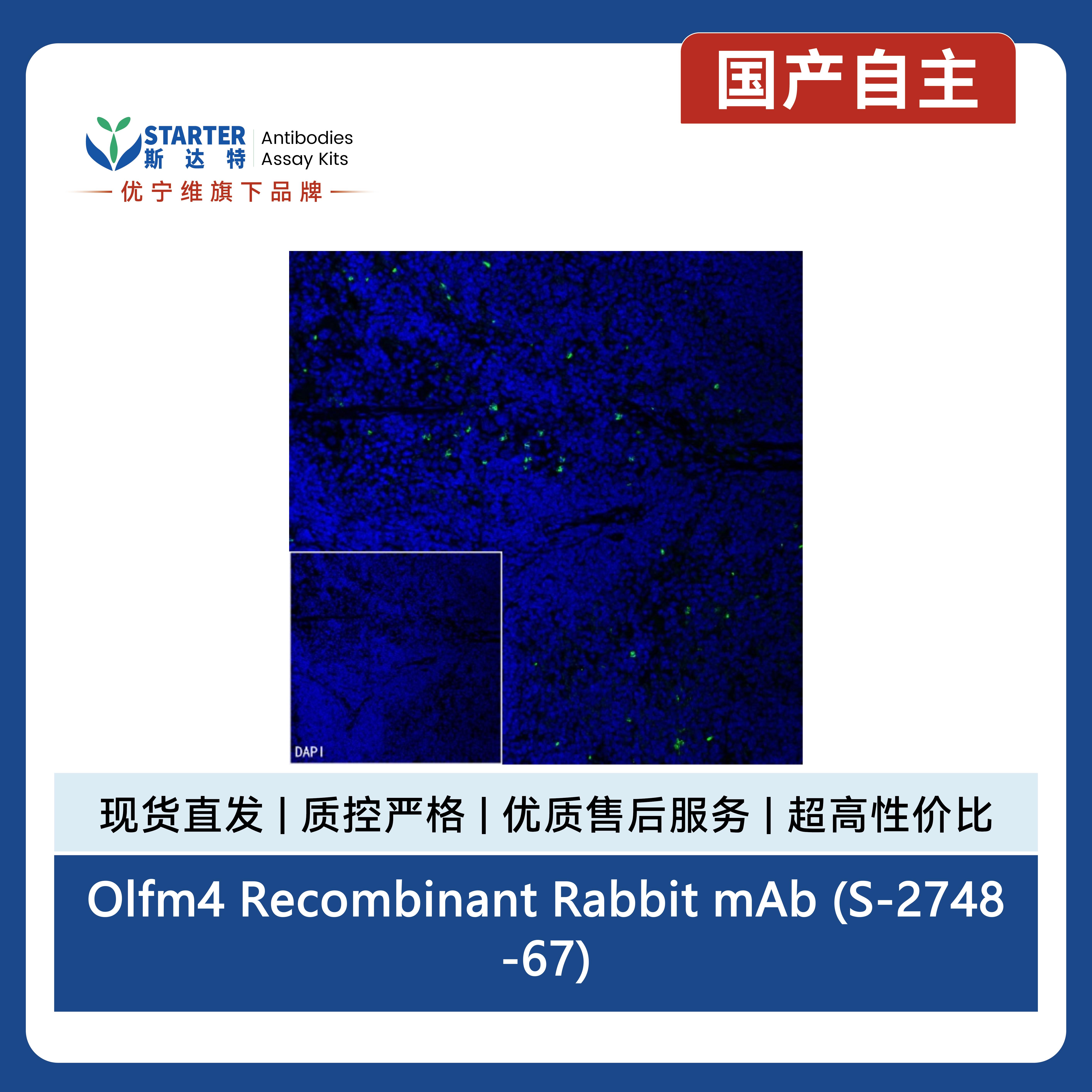 产品细节图片11