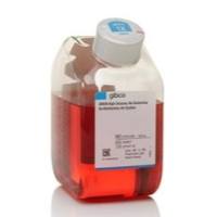 现货供应 GIBCO 21013-024 DMEM高糖斜口培养基（不含谷氨酰胺）