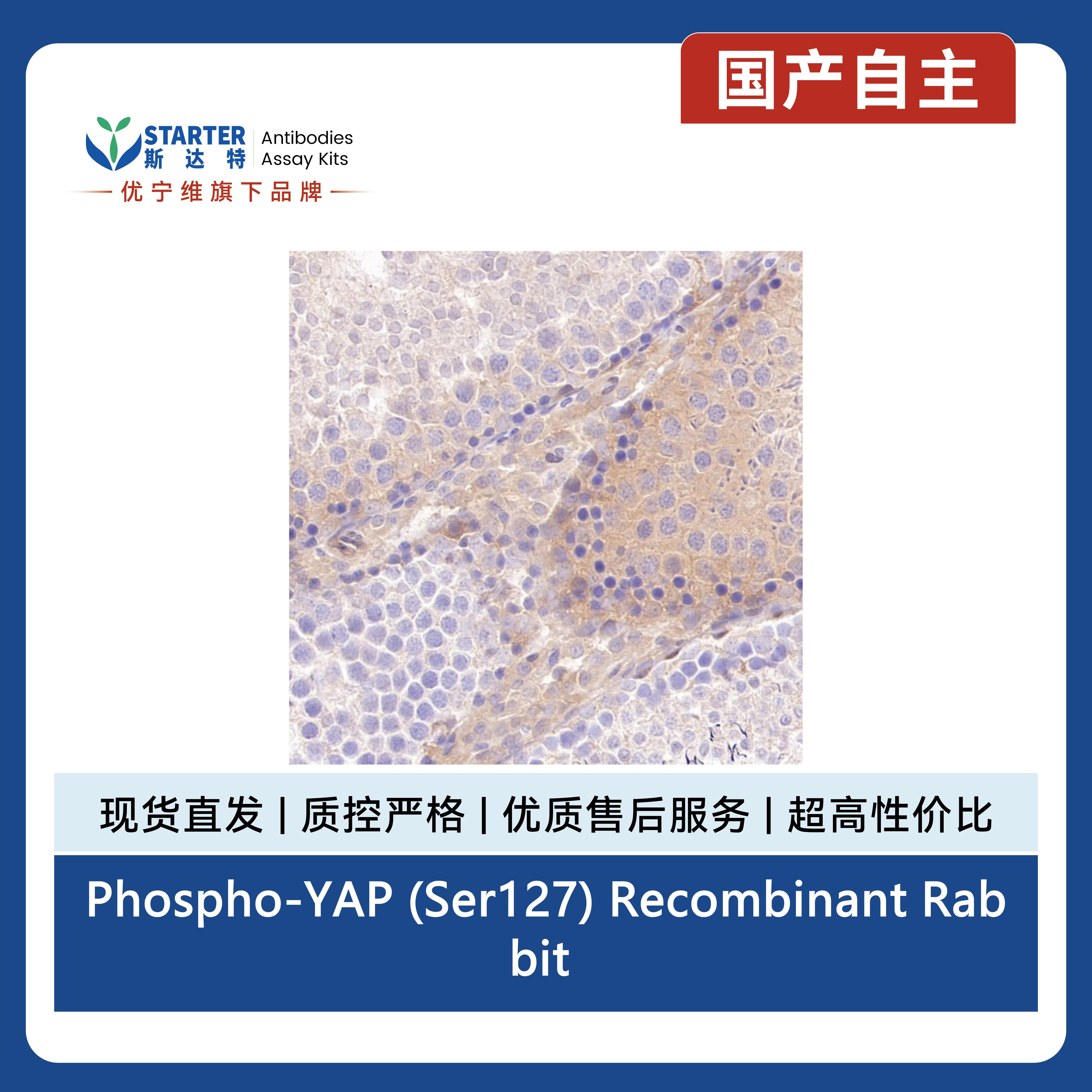 产品细节图片8
