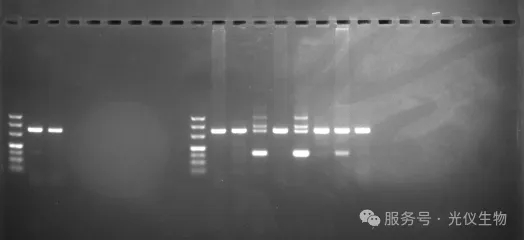 新闻图片7