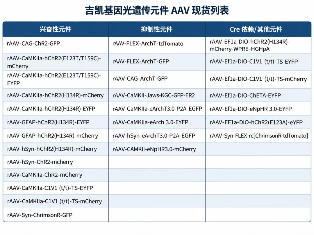 吉凯基因光遗传AAV现货列表