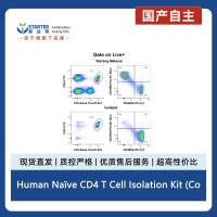 Human Naïve CD4 T Cell Isolation Kit (Column-Free)