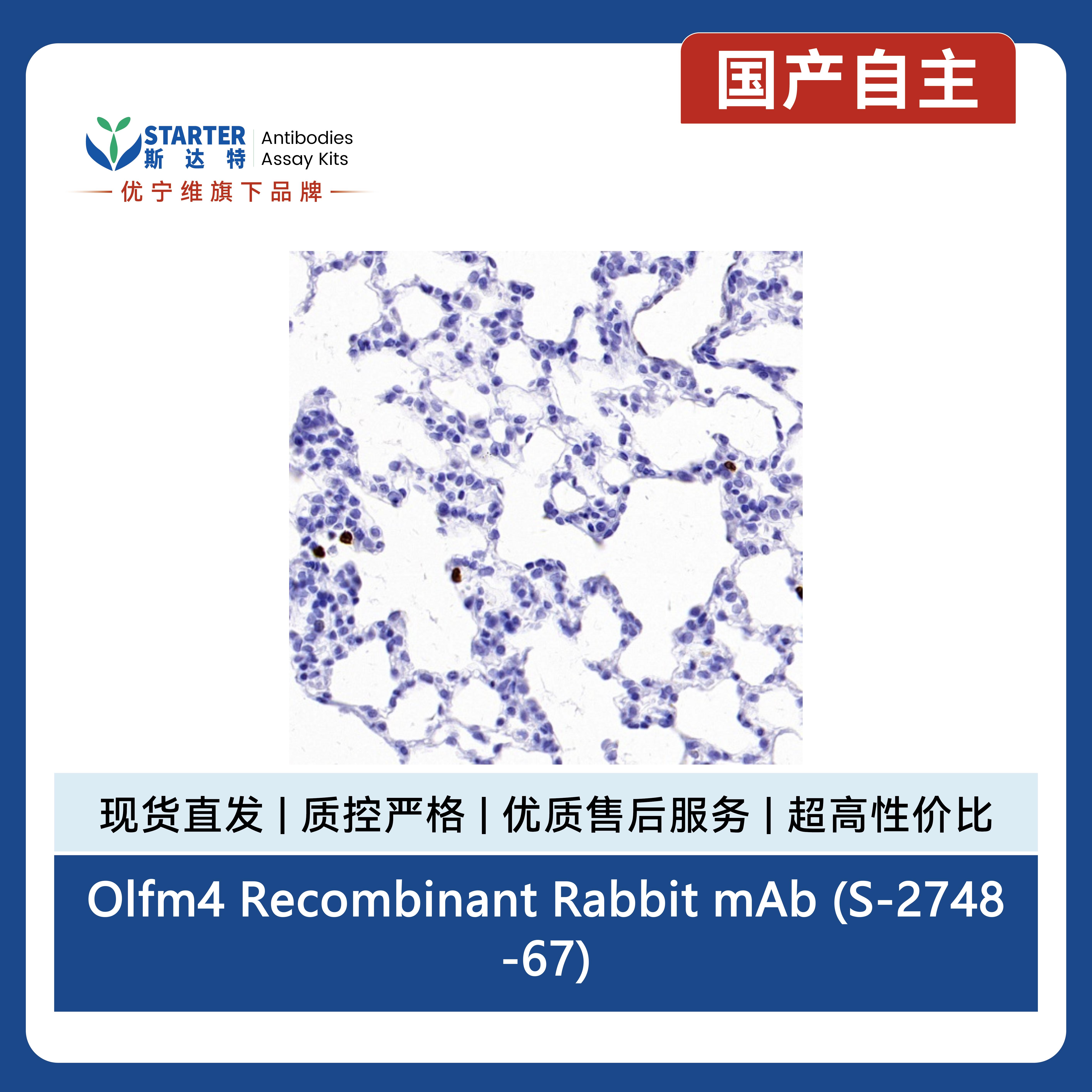 产品细节图片7
