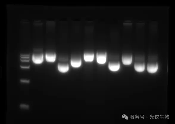 新闻图片5