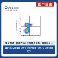Biotin Mouse Anti-Human FOXP3 Antibody (S-2903)