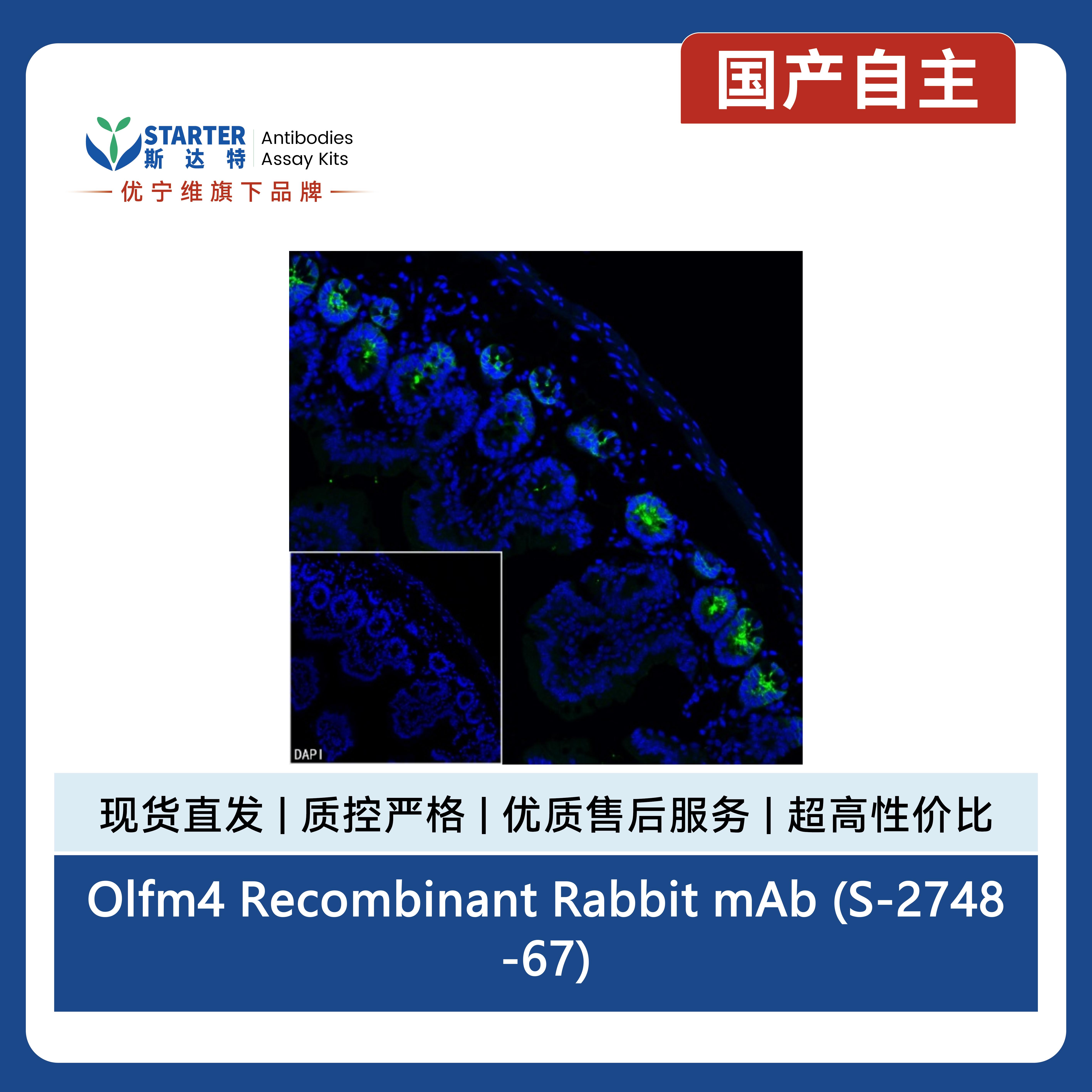 产品细节图片10