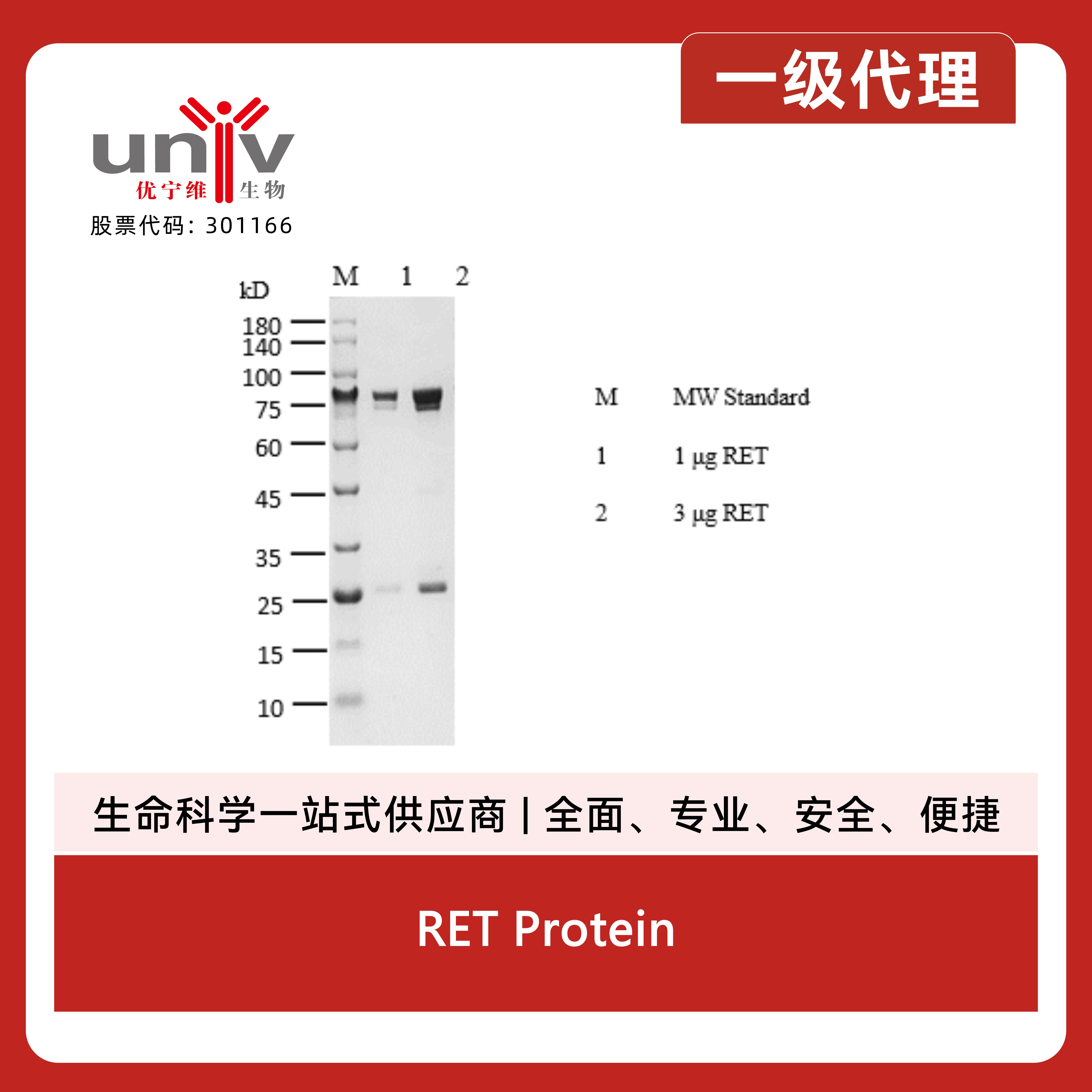 产品细节图片1