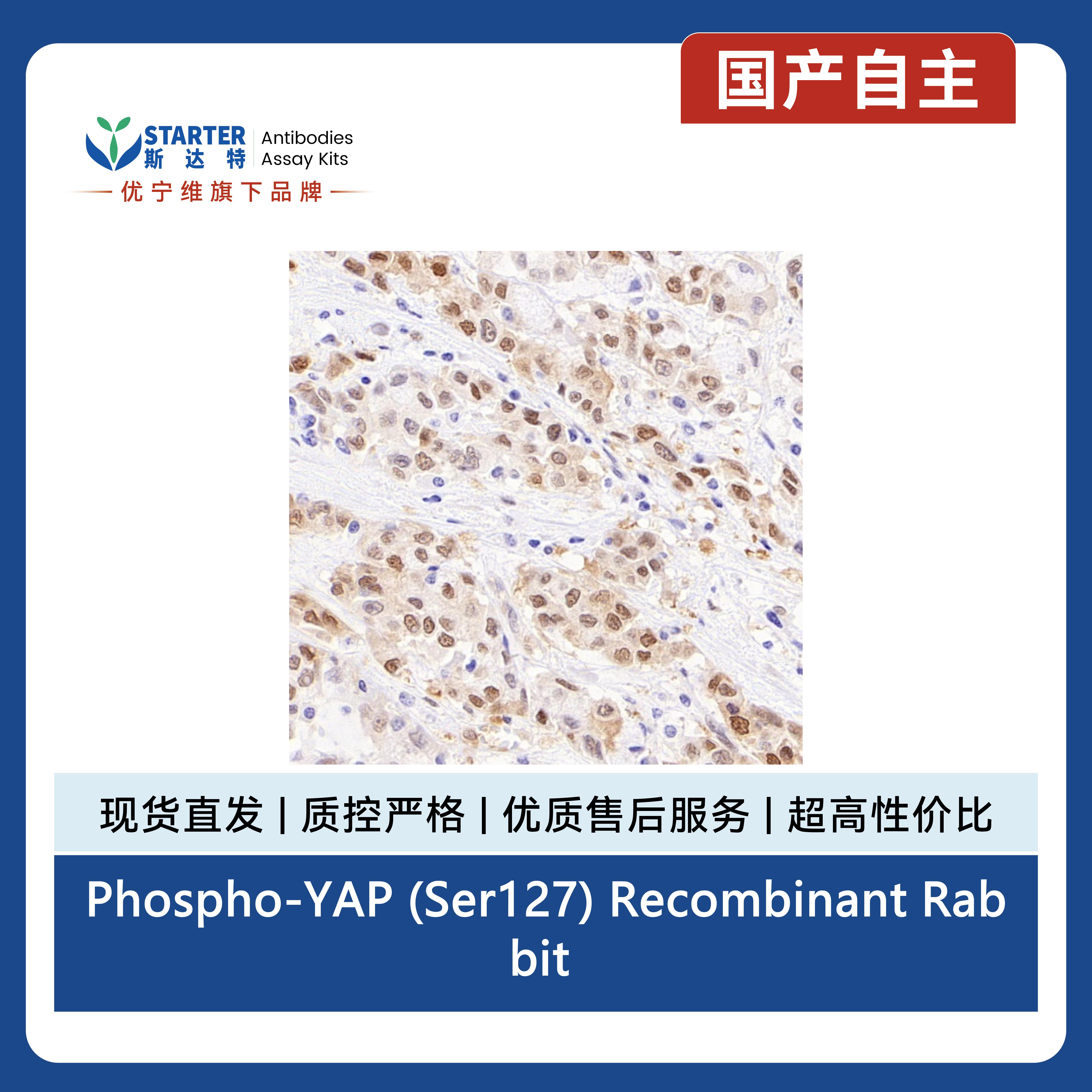 产品细节图片5