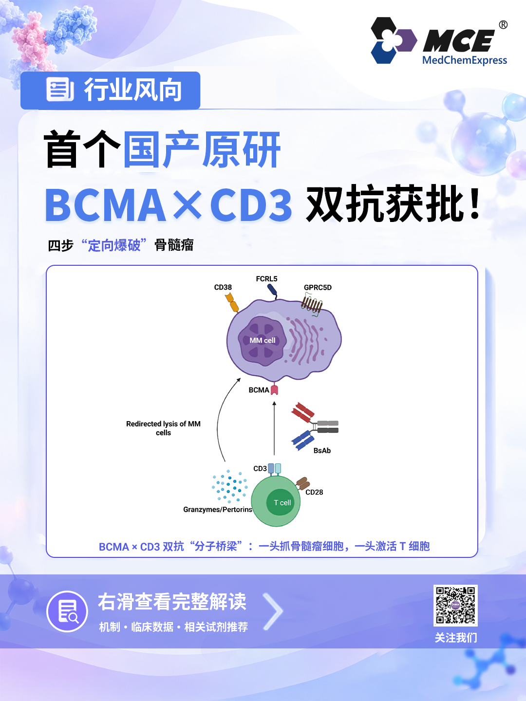 新闻图片1