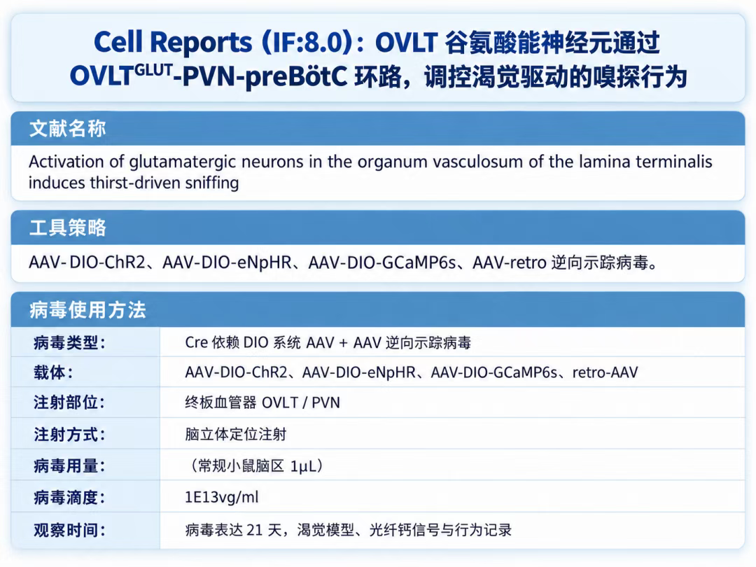 案例4文献与病毒使用方案