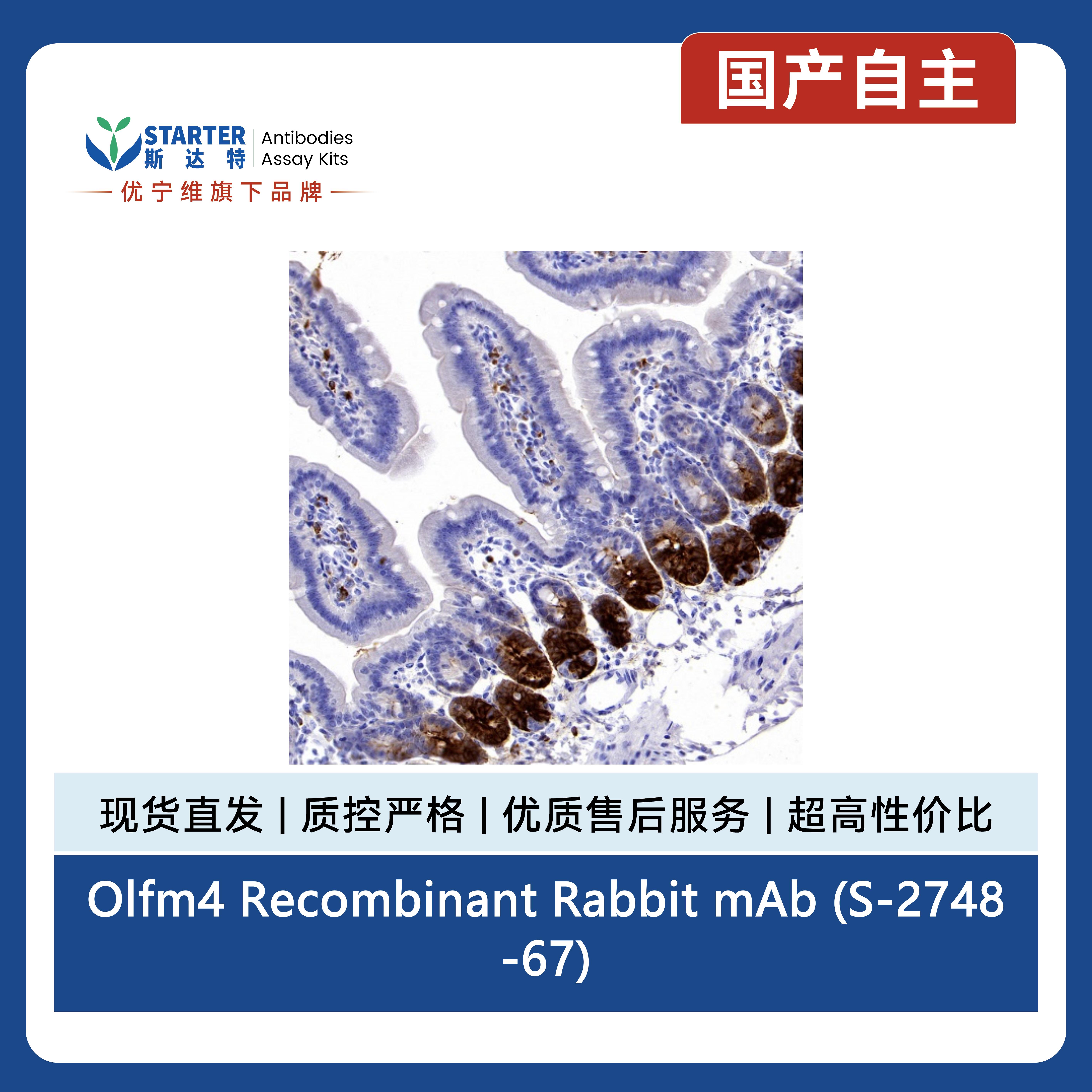 产品细节图片3