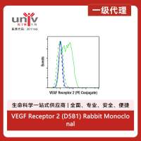 VEGF Receptor 2 (D5B1) Rabbit Monoclonal Antibody (PE Conjugate)