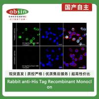 Rabbit anti-His Tag Recombinant Monoclonal Antibody(AF488 Conjugate)(S-1398-10)