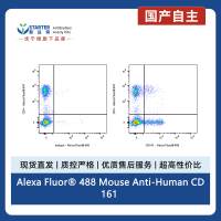 Alexa Fluor® 488 Mouse Anti-Human CD161 Antibody (S-R581)