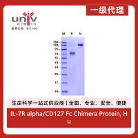 IL-7R alpha/CD127 Fc Chimera Protein, Human