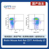 Biotin Mouse Anti-Rat CD71 Antibody (OX-26)