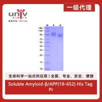 Soluble Amyloid-β/APP(18-652) His Tag Protein, Human
