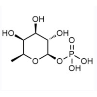 β-L-Fucopyranosyl phosphate,16562-59-7,Moligand™, ≥95%,阿拉丁