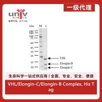 VHL/Elongin-C/Elongin-B Complex, His Tag Protein