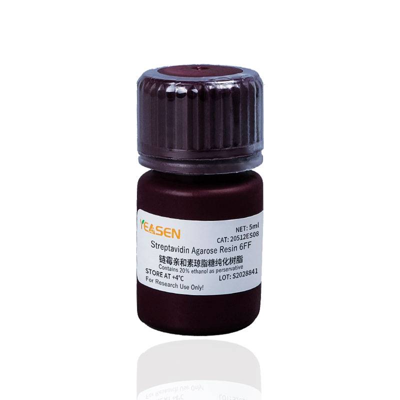 链霉亲和素琼脂糖纯化树脂 琼脂糖纯化树脂|Streptavidin Agarose Resin 6FF