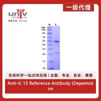 Anti-IL 15 Reference Antibody (Depemokimab)