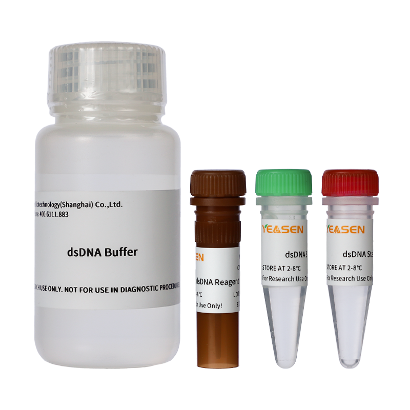 双链DNA(dsDNA)荧光定量检测试剂盒|dsDNA HS Assay Kit for Qubit®产品图