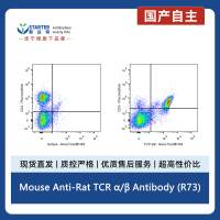 Mouse Anti-Rat TCR α/β Antibody (R73)