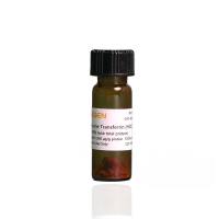 牛饱和铁转铁蛋白(Bovine Transferrin,HOLO)