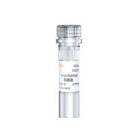 嘌呤霉素(Puromycin Dihydrochloride) 氨基糖苷类抗生素