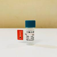重组犬细小病毒真核VP2蛋白;犬细小病毒抗原;CPV-VP2蛋白