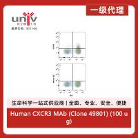 Human CXCR3 MAb (Clone 49801) (100 ug)