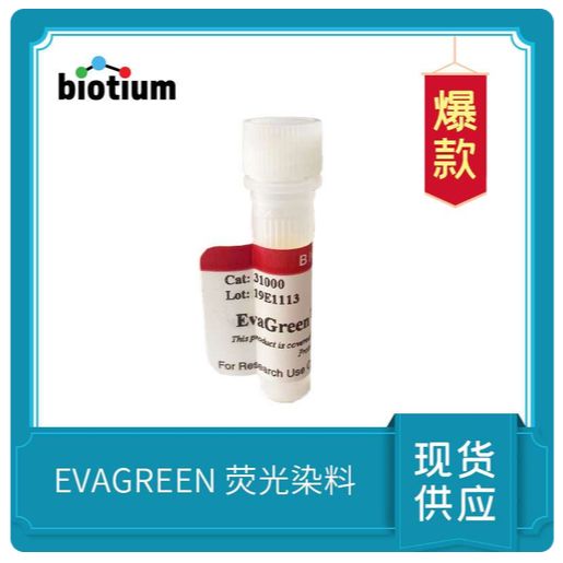 EVAGREEN 荧光染料