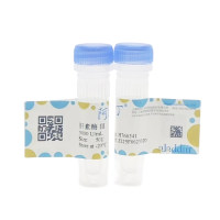 肝素酶 III,37290-86-1,生物活性,重组,ActiBioPure™,高性能,EnzymoPure™,≥90%(SDS-PAGE),≥3000 U/mL for 50U; ≥300 U/mL for 5U and 10U;expressed in E.coli,阿拉丁